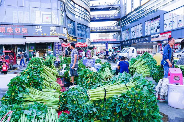 昆明疏菜批发在哪里(昆明蔬菜批发市场在哪里)