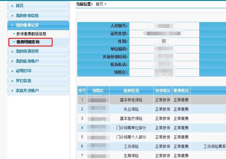 我的社保查询明细(我的社保查询明细有几年个人缴费都为零)