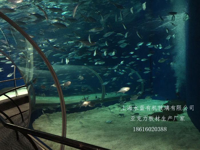上海水底世界在哪(上海水底世界在哪里)