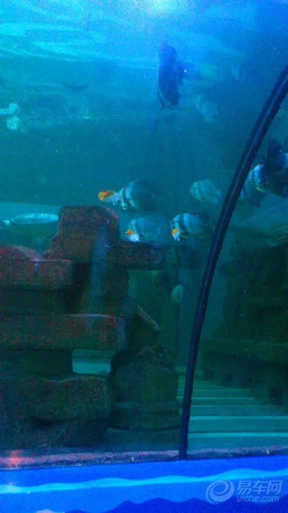 上海水底世界在哪(上海水底世界在哪里)