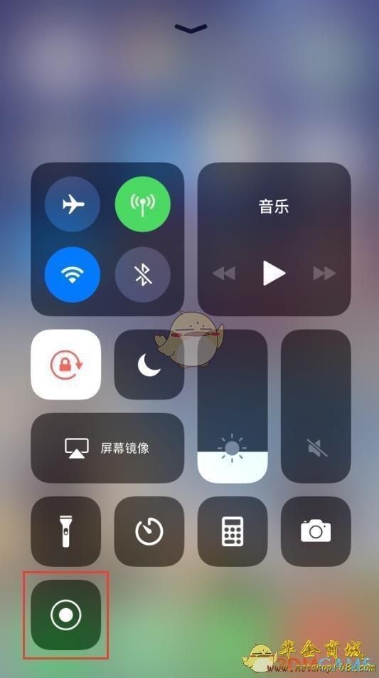 包含11录像在哪的词条