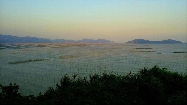大渔湾在哪里(昆山大渔新村在哪里)