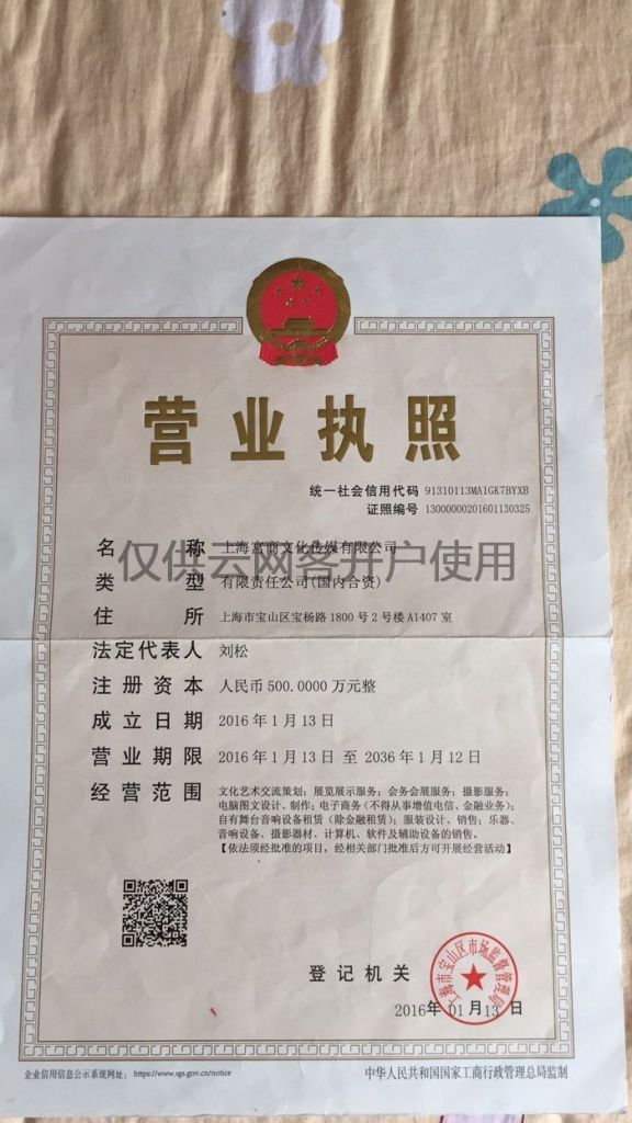 电子商务营业执照网上办理(办理电子商务营业执照需要准备什么)