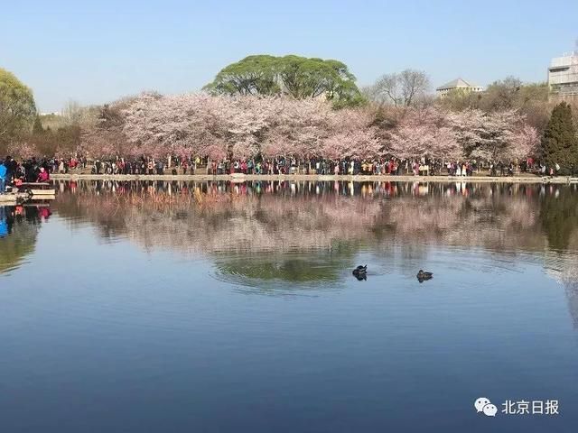 玉坠潭在哪(玉坠潭在哪里)