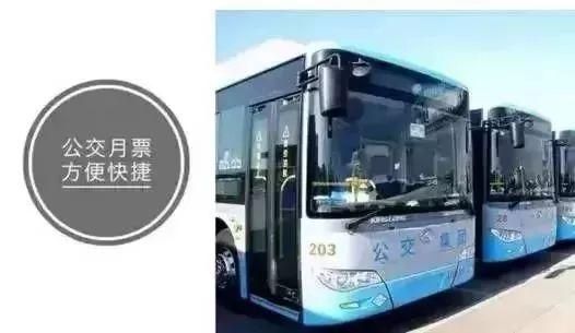 台州公交卡在哪里办理(台州办公交卡在哪里办)
