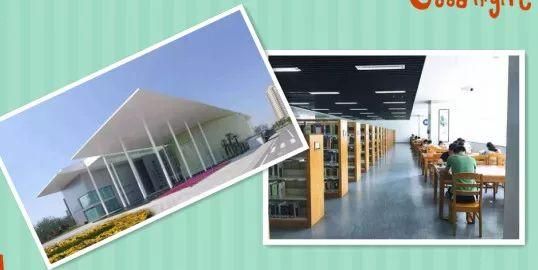 台州公交卡在哪里办理(台州办公交卡在哪里办)
