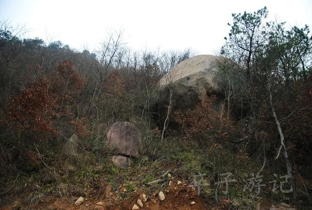 大龙山在哪(达隆山在哪)