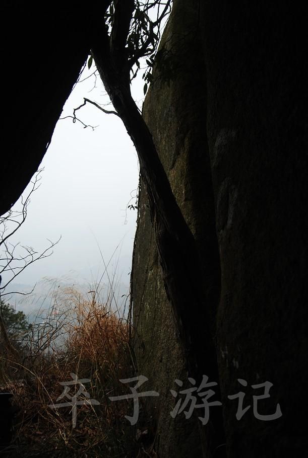 大龙山在哪(达隆山在哪)