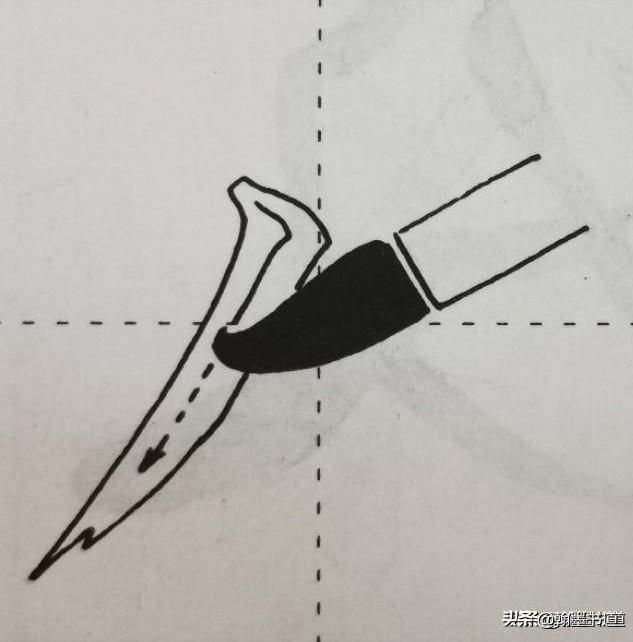 侧缝长在哪(侧缝长是什么)