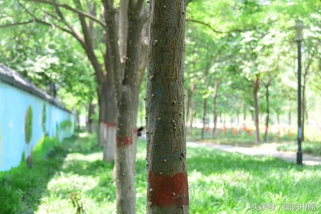 蜗牛都在哪里(蜗牛小镇在哪里)