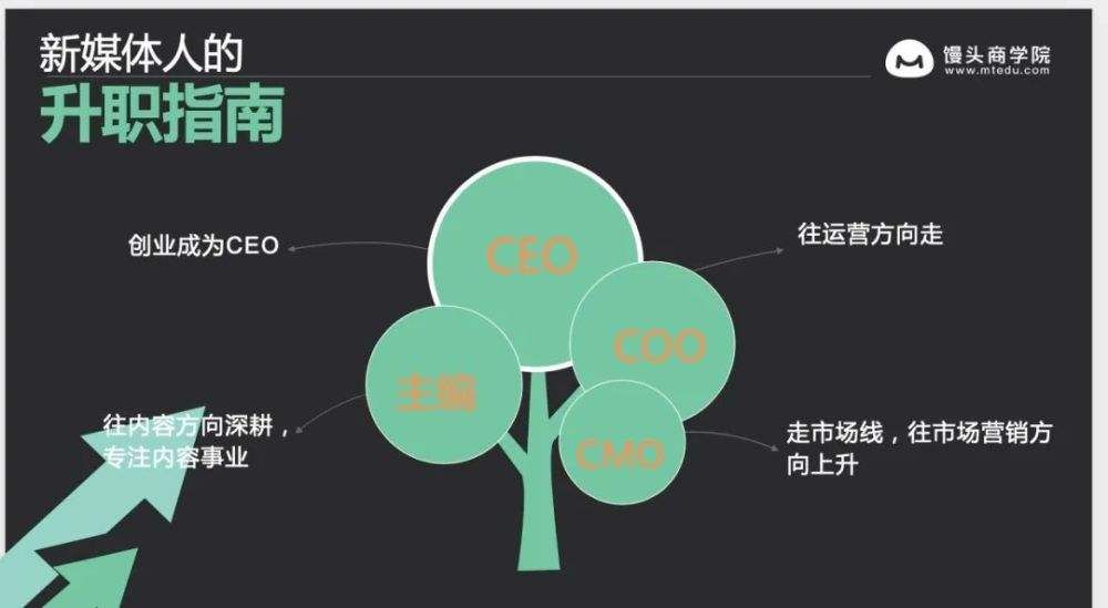 工作室如何推广和运营(茶工作室如何运营)