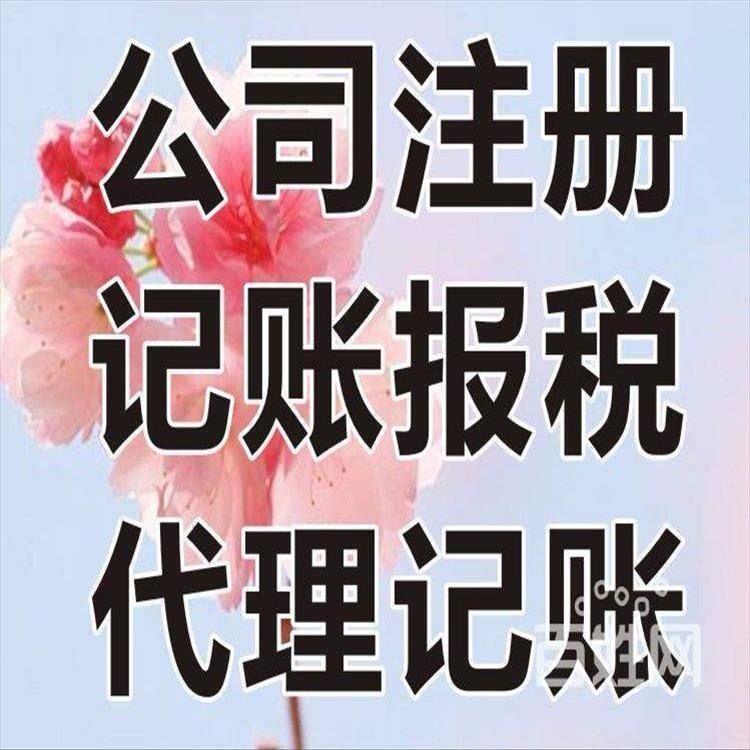 公司代理记账是什么意思(公司代理记账的会计公司)