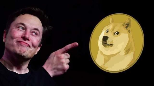 狗狗币在哪里买(狗狗币在哪里交易)
