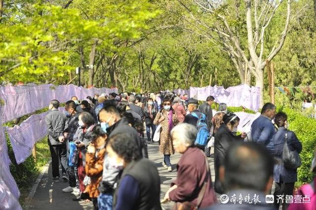 千佛山相亲在哪(千佛山相亲大会)