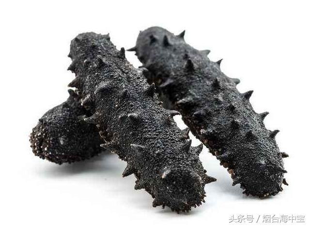 海参在哪买(海参在海底的图片)