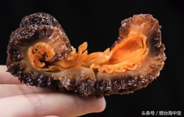 海参在哪买(海参在海底的图片)