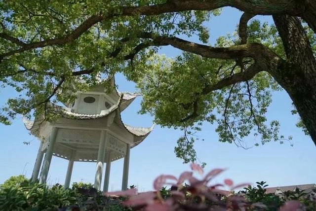 章镇在哪里(张镇再生水厂)