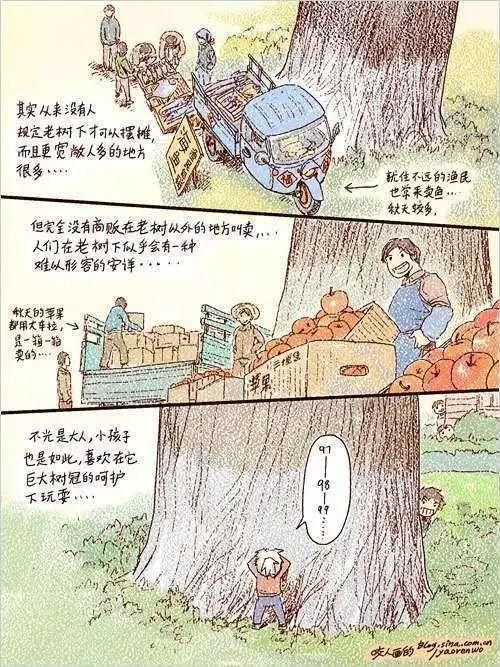 洛阳大杨树在哪里(杨树不能种在哪里)