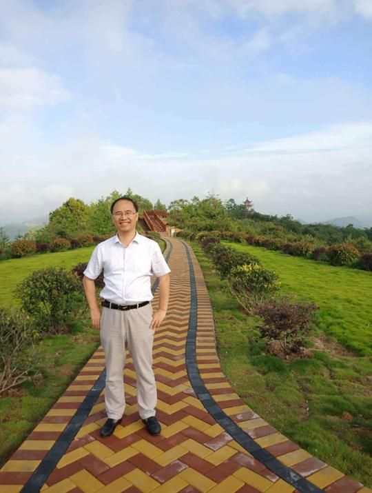 洛阳大杨树在哪里(杨树不能种在哪里)