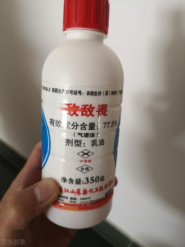 敏蕈在哪买的简单介绍