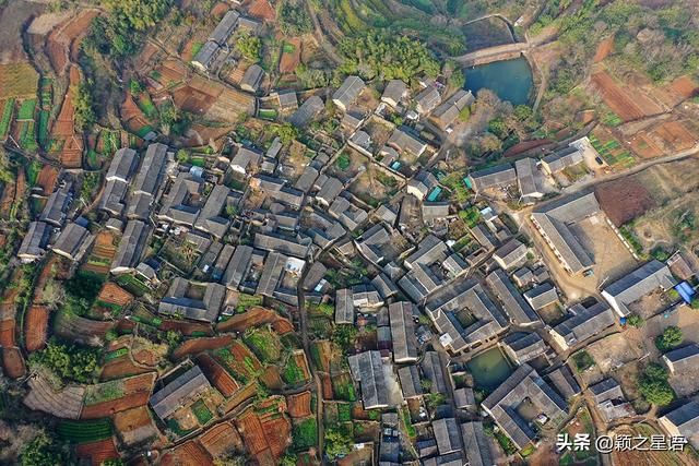 宁海杜鹃山在哪里(宁海杜鹃山)