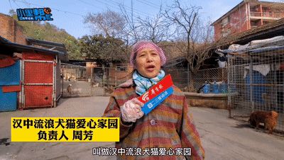 陕西媒体曝光求助热线的简单介绍