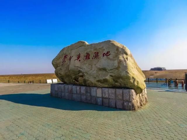 上海湿地公园在哪里(上海湿地公园有哪些)