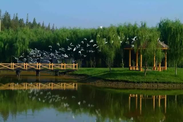 上海湿地公园在哪里(上海湿地公园有哪些)