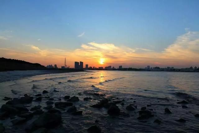 上海湿地公园在哪里(上海湿地公园有哪些)