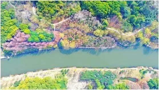 上海湿地公园在哪里(上海湿地公园有哪些)
