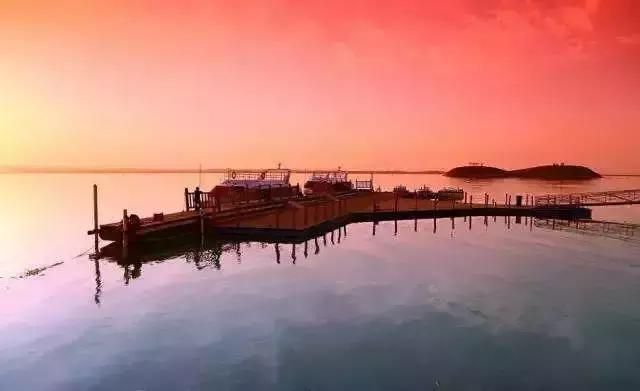 上海湿地公园在哪里(上海湿地公园有哪些)