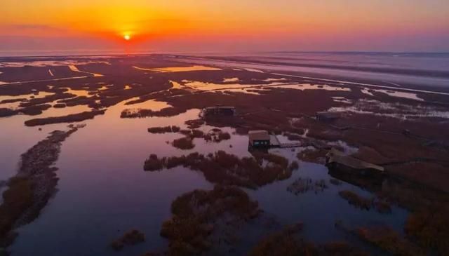 上海湿地公园在哪里(上海湿地公园有哪些)