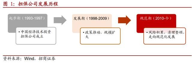 重庆最大的几个担保公司(重庆最大的家具城在哪里)