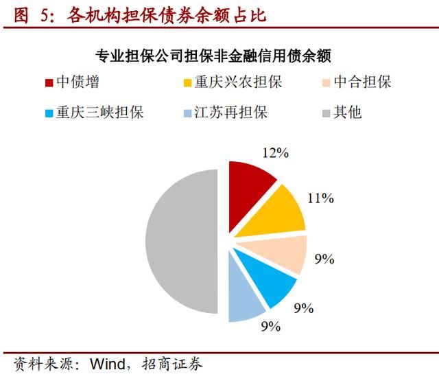 重庆最大的几个担保公司(重庆最大的家具城在哪里)