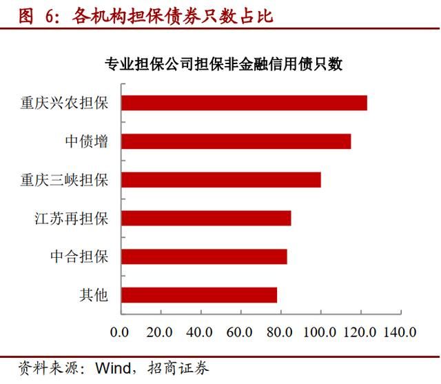 重庆最大的几个担保公司(重庆最大的家具城在哪里)