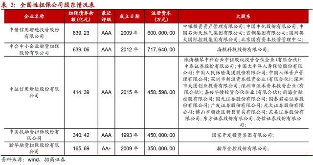重庆最大的几个担保公司(重庆最大的家具城在哪里)