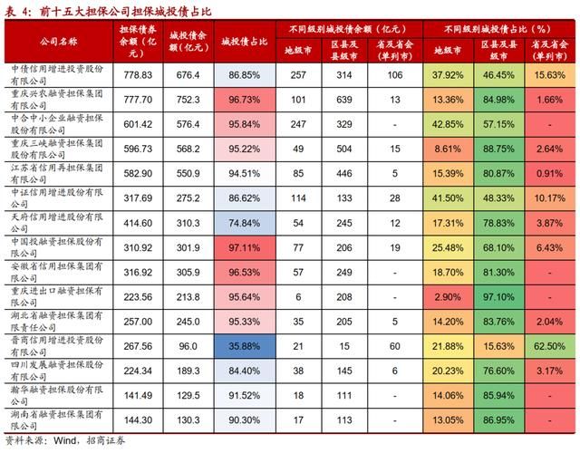 重庆最大的几个担保公司(重庆最大的家具城在哪里)