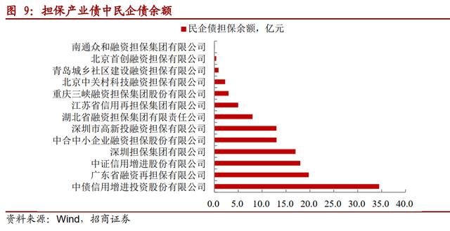 重庆最大的几个担保公司(重庆最大的家具城在哪里)
