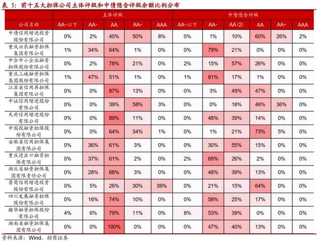 重庆最大的几个担保公司(重庆最大的家具城在哪里)