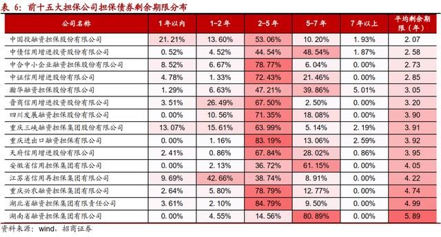 重庆最大的几个担保公司(重庆最大的家具城在哪里)