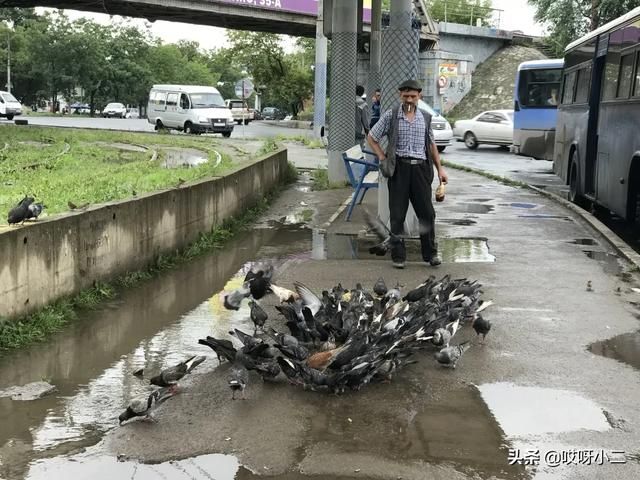 海参崴免税店在哪里(海参崴地图)