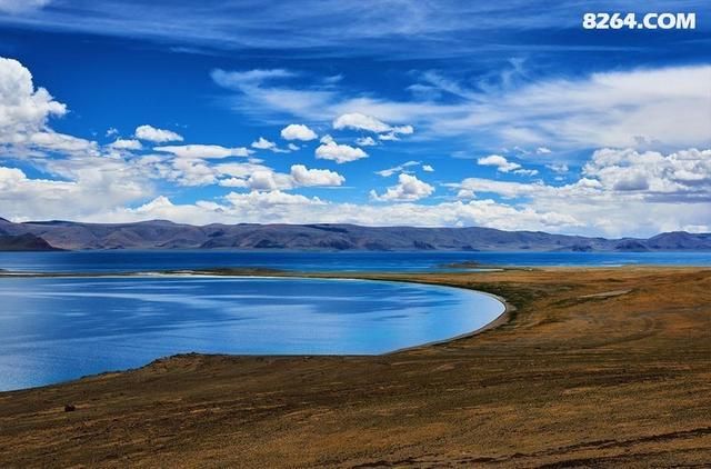 流放之路干枯湖岸在哪的简单介绍
