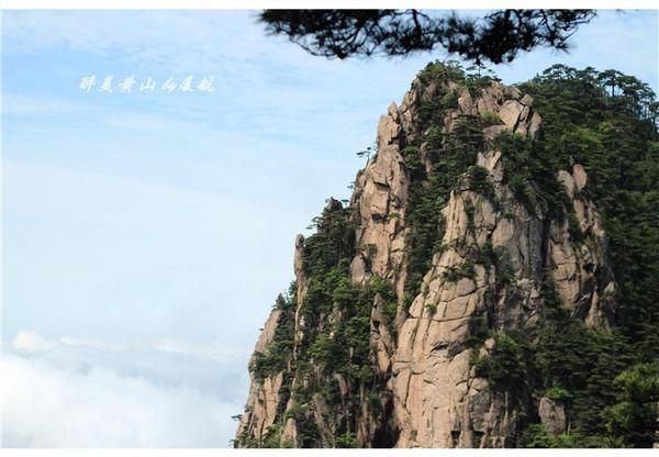 奇山在哪里(祁山在哪里)