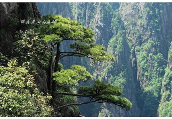 奇山在哪里(祁山在哪里)