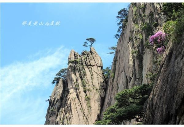 奇山在哪里(祁山在哪里)