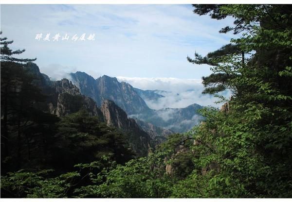 奇山在哪里(祁山在哪里)