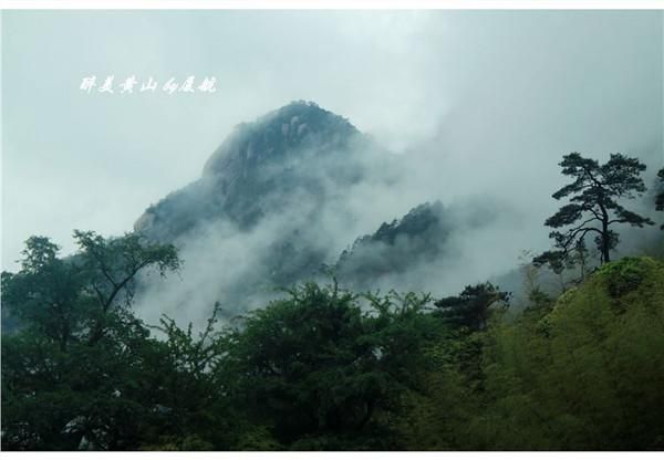 奇山在哪里(祁山在哪里)