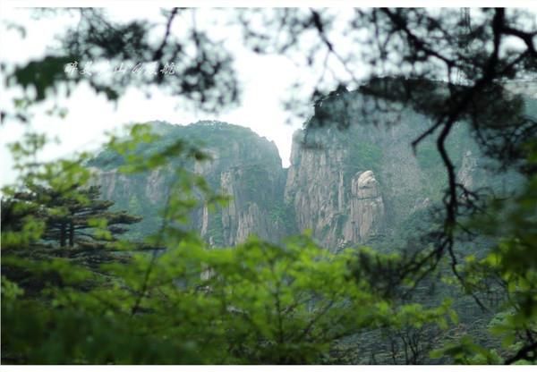 奇山在哪里(祁山在哪里)