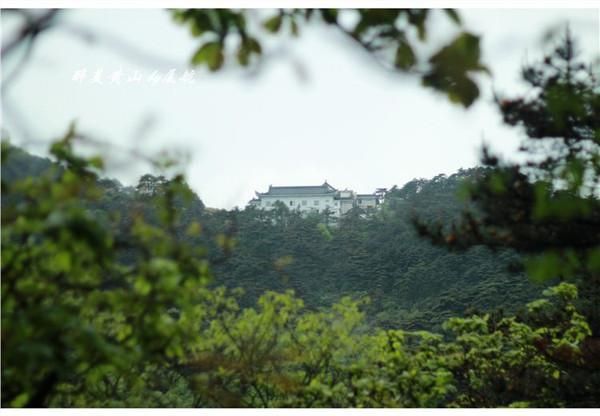 奇山在哪里(祁山在哪里)