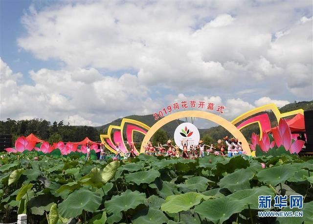 姚安在哪儿(姚安在哪里)
